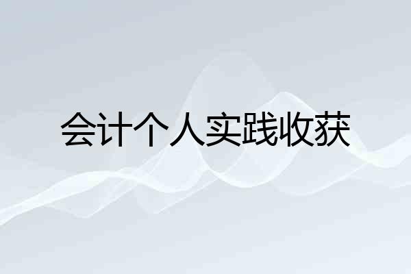 会计个人实践收获