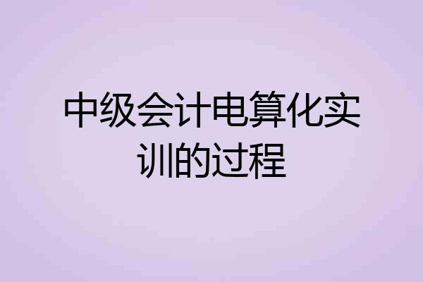 中级会计电算化实训的过程