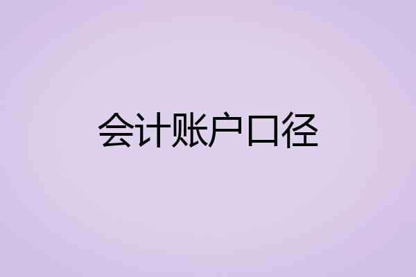 会计账户口径