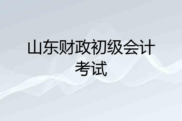山东财政初级会计考试