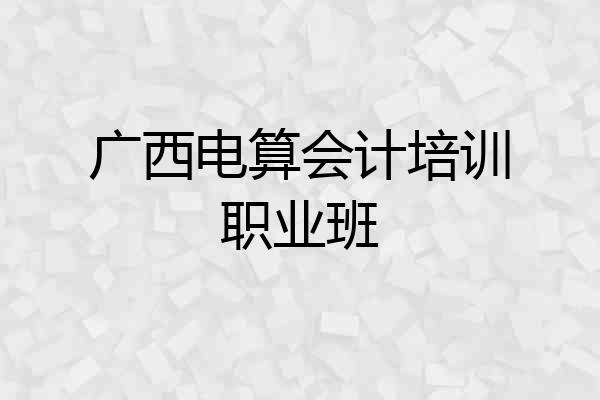 广西电算会计培训职业班