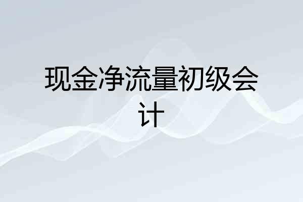 现金净流量初级会计