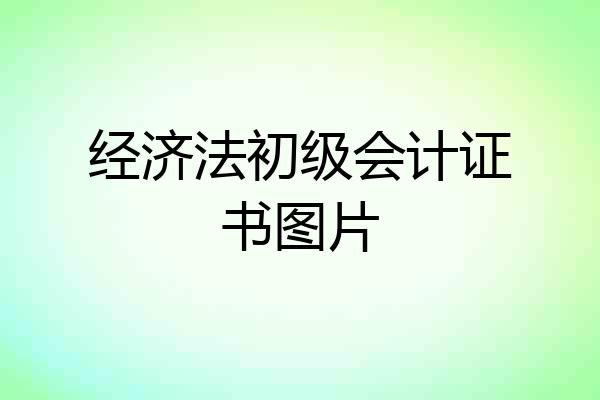 经济法初级会计证书图片