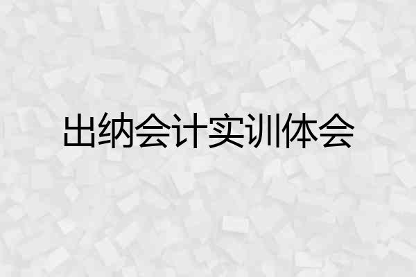 出纳会计实训体会