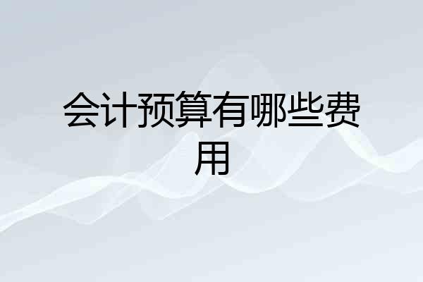 会计预算有哪些费用
