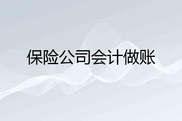 保险公司会计做账