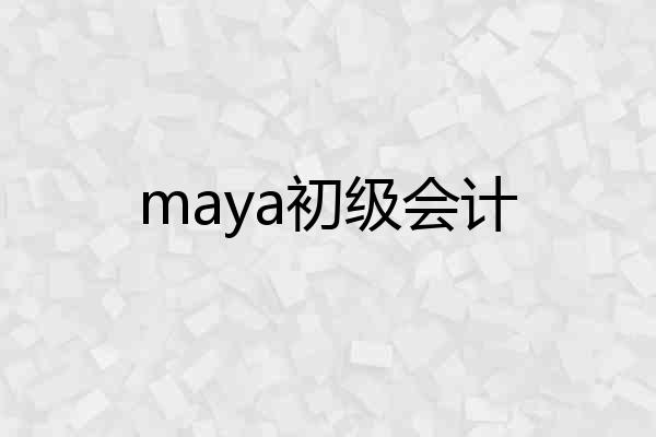 maya初级会计