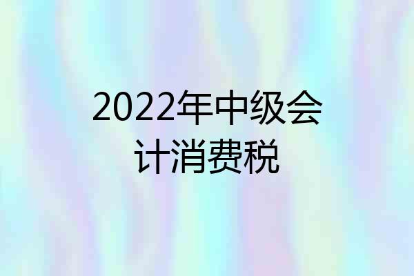 2022年中级会计消费税