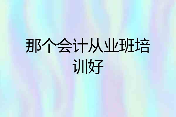 那个会计从业班培训好