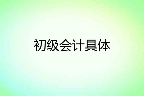 初级会计具体