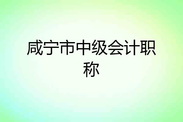咸宁市中级会计职称
