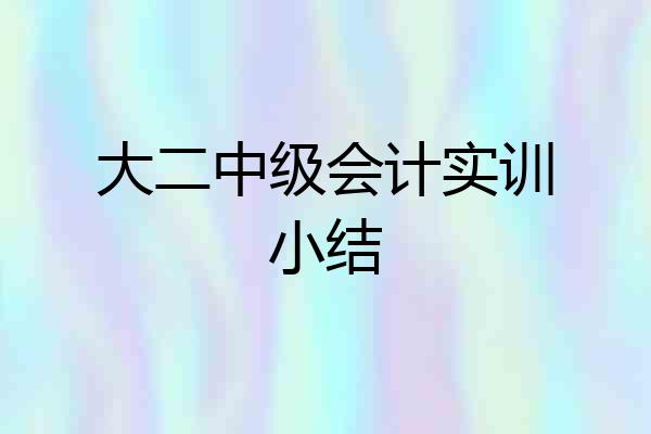 大二中级会计实训小结