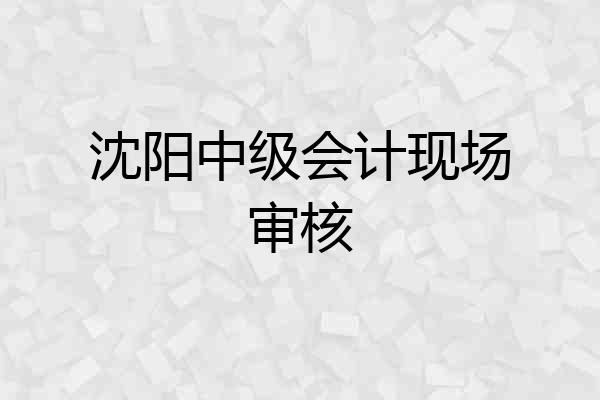 沈阳中级会计现场审核