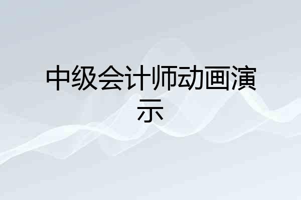 中级会计师动画演示