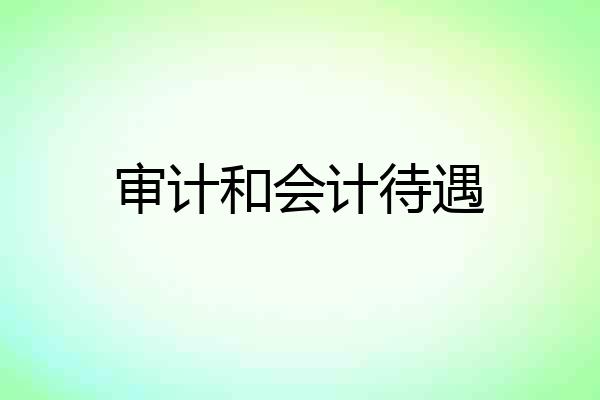 审计和会计待遇