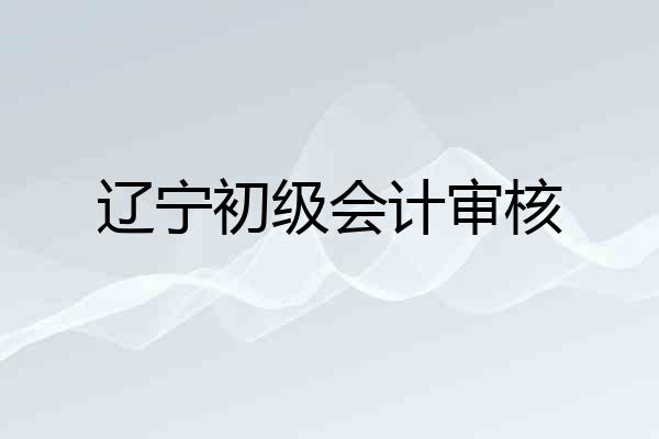 辽宁初级会计审核