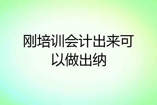 刚培训会计出来可以做出纳