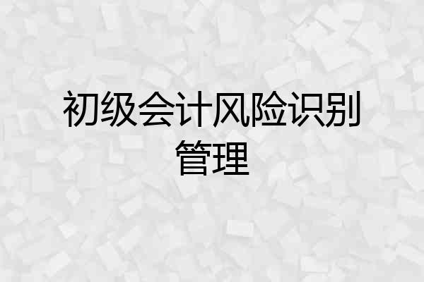 初级会计风险识别管理