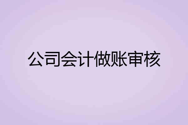 公司会计做账审核