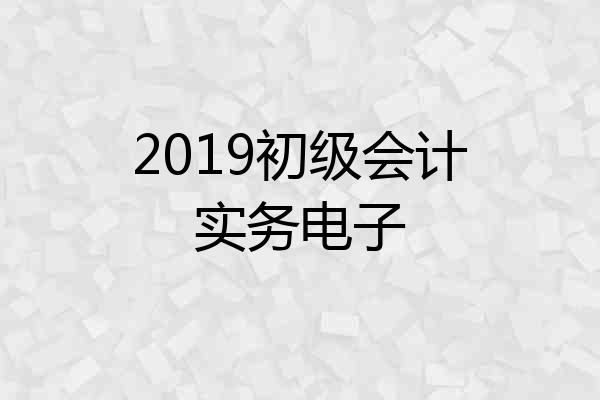 2019初级会计实务电子