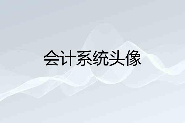 会计系统头像