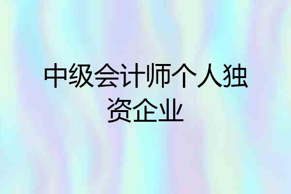 中级会计师个人独资企业