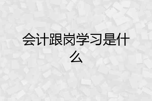 会计跟岗学习是什么