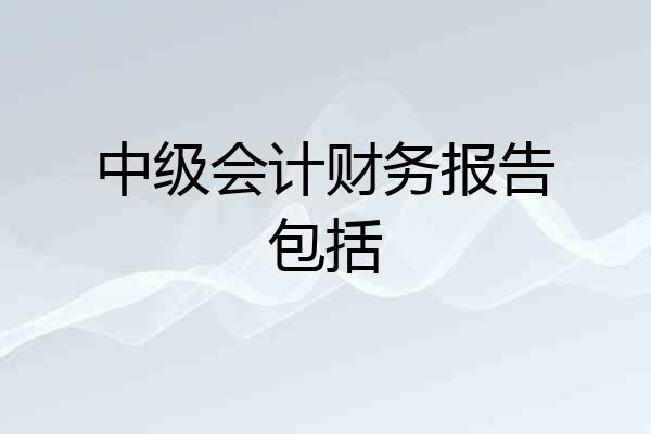 中级会计财务报告包括
