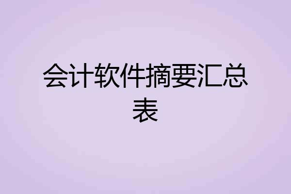 会计软件摘要汇总表