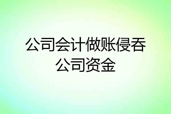 公司会计做账侵吞公司资金