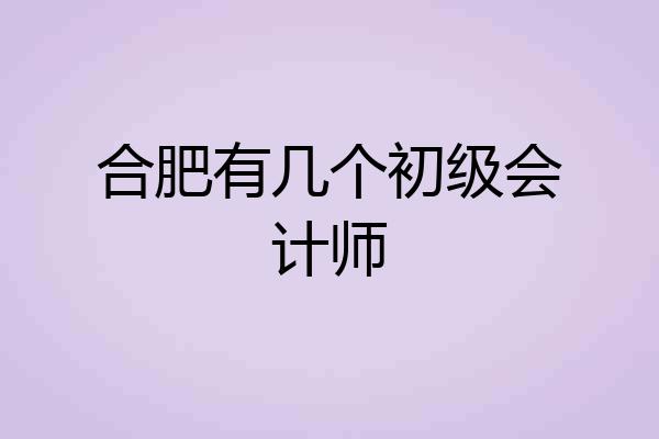 合肥有几个初级会计师