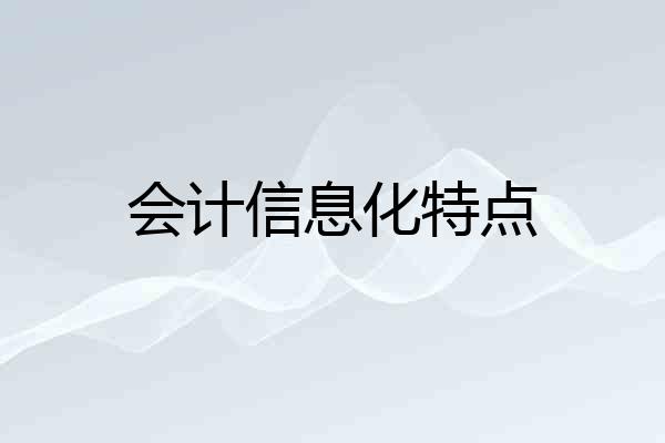 会计信息化特点