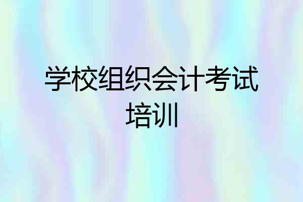 学校组织会计考试培训