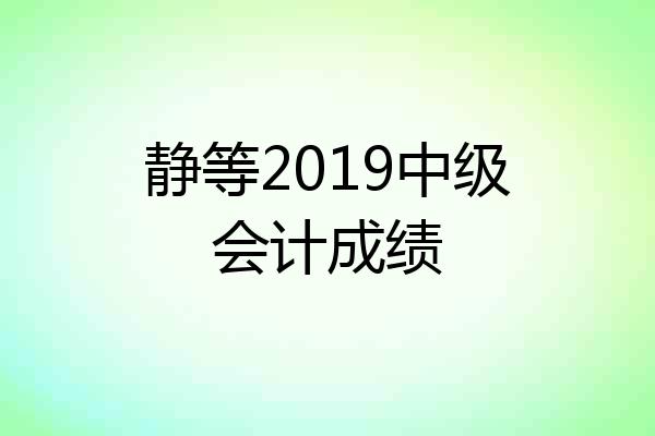 静等2019中级会计成绩