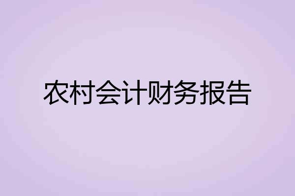 农村会计财务报告
