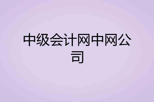 中级会计网中网公司