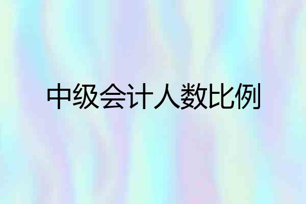 中级会计人数比例