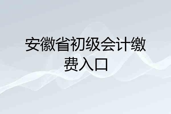 安徽省初级会计缴费入口