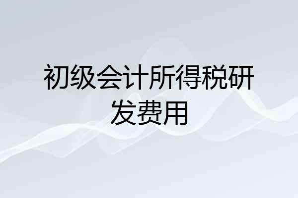 初级会计所得税研发费用