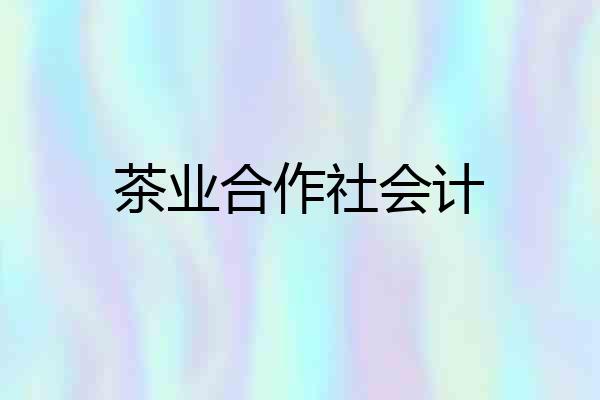 茶业合作社会计