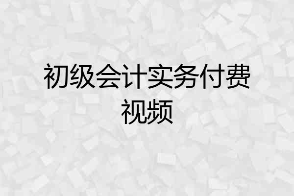 初级会计实务付费视频