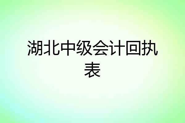 湖北中级会计回执表
