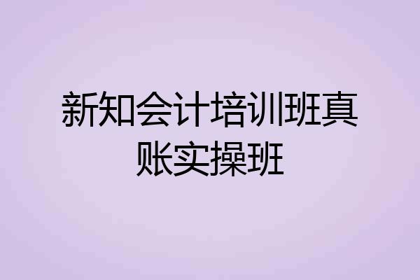 新知会计培训班真账实操班