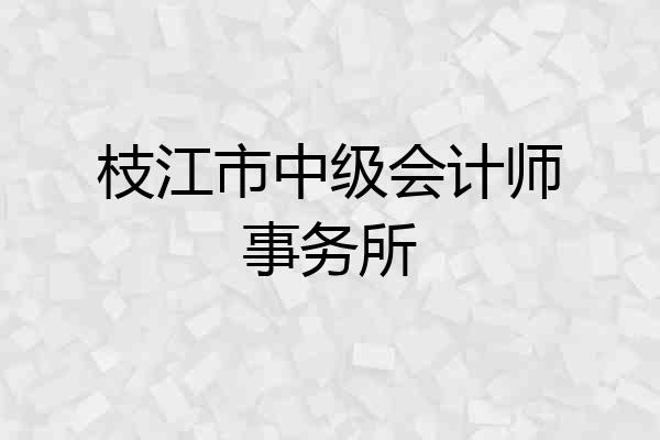 枝江市中级会计师事务所