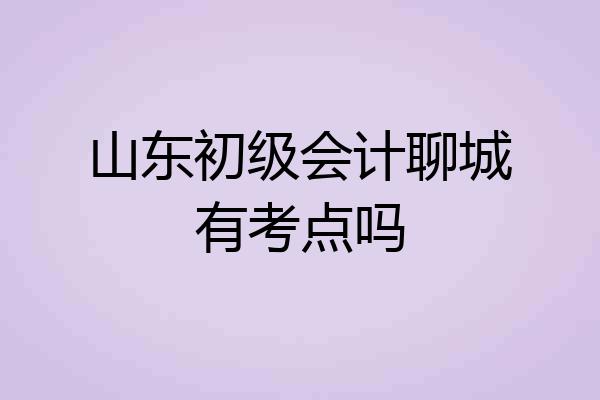 山东初级会计聊城有考点吗
