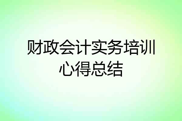 财政会计实务培训心得总结