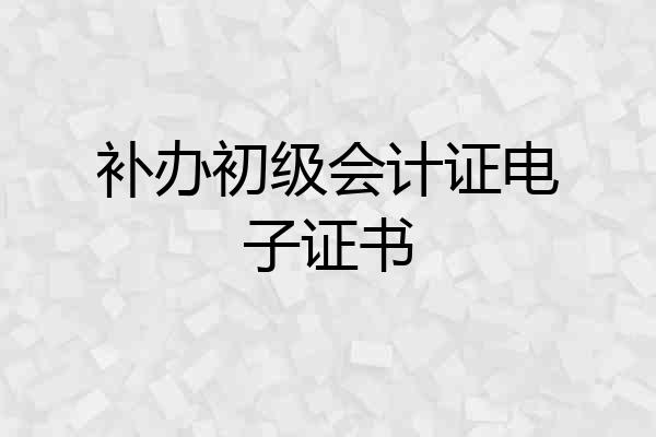 补办初级会计证电子证书
