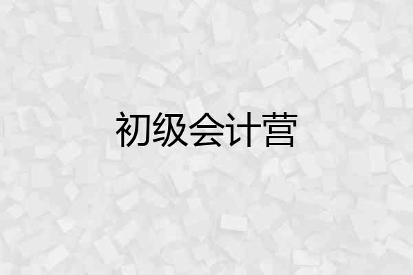 初级会计营