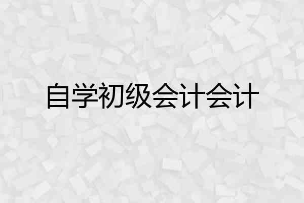 自学初级会计会计