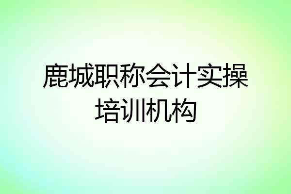 鹿城职称会计实操培训机构